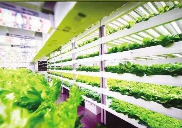 南京諾爾迅亮化，照明亮化工程